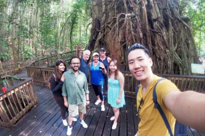 Barron Gorge and Kuranda National Park Half Day Rainforest and Waterfall 4WD Tour from Cairns