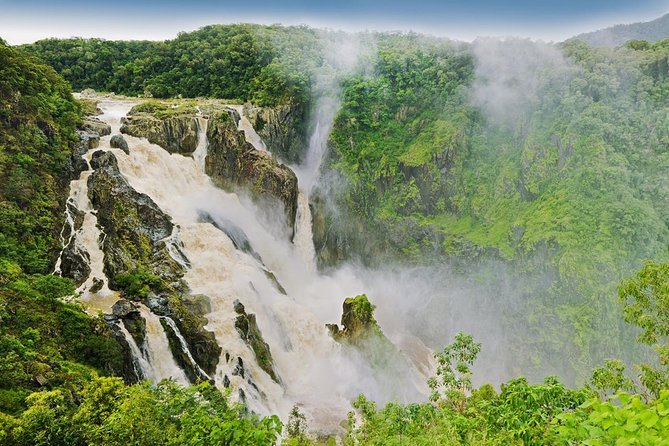 Barron Gorge and Kuranda National Park Half Day Rainforest and Waterfall 4WD Tour from Cairns - Guides, stories, and the value of local knowledge
