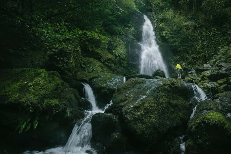 Batumi to Mtirala National park - Half day hiking group tour - Key points to know before booking