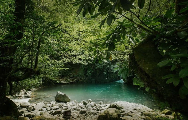 Batumi to Mtirala National park - Half day hiking group tour - From Batumi streets to Mtirala forest