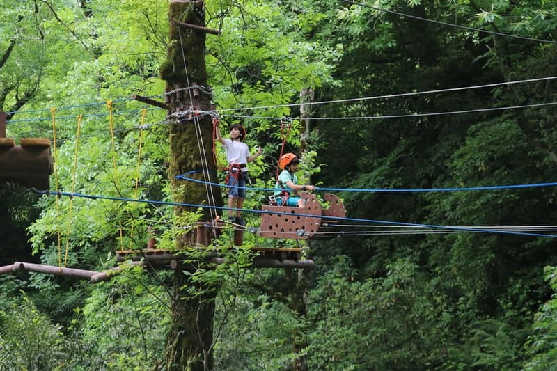 Batumi to Mtirala National park - Half day hiking group tour - Who will enjoy this half-day outing