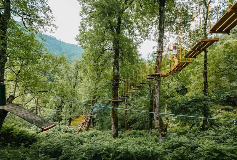 Batumi to Mtirala National park - Half day hiking group tour - Should you book the Mtirala tour?