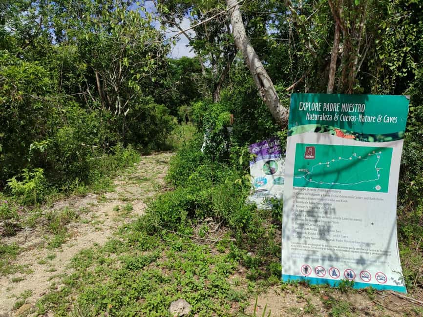 Bayahibe: National Park Jungle Walk & Snorkeling in Cenotes - Should you book the Cenotes Chicho tour?