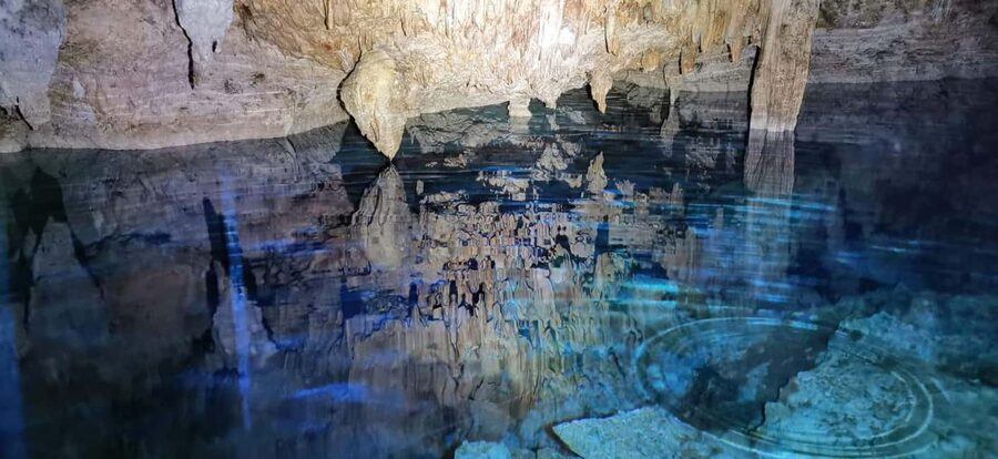 Bayahibe: National Park Jungle Walk & Snorkeling in Cenotes - A warm walk through Cotubanamá National Park