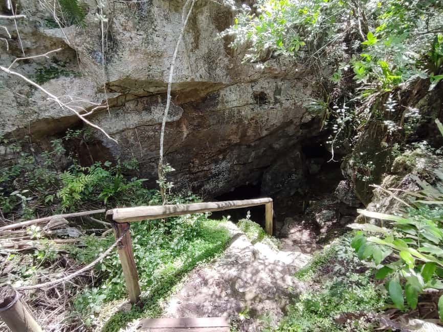 Bayahibe: National Park Jungle Walk & Snorkeling in Cenotes - Is $55 good value?