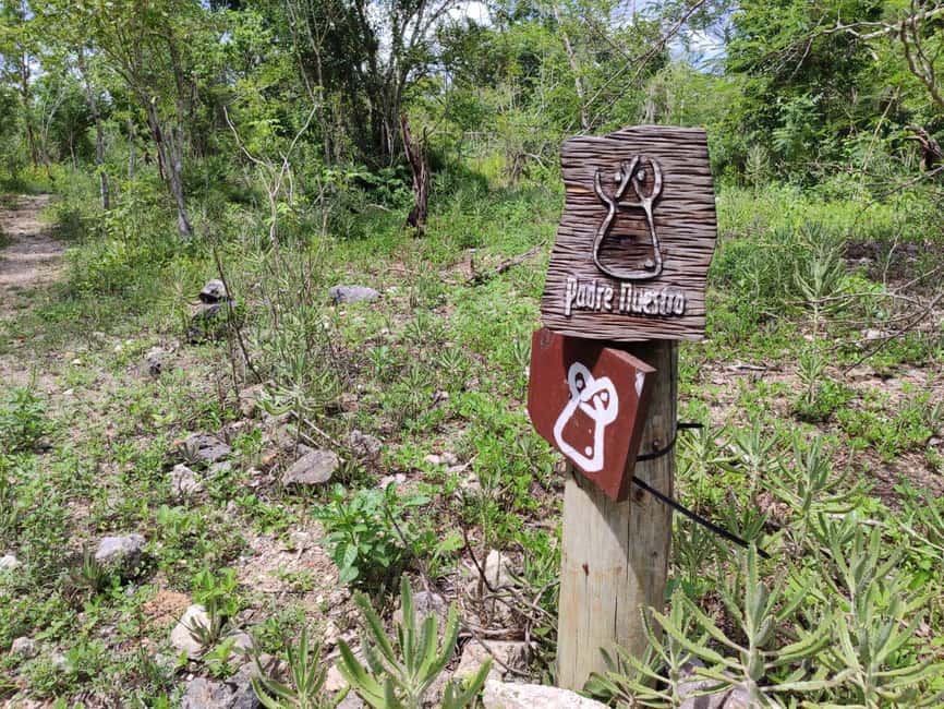 Bayahibe: National Park Jungle Walk & Snorkeling in Cenotes - What to bring and what to expect physically