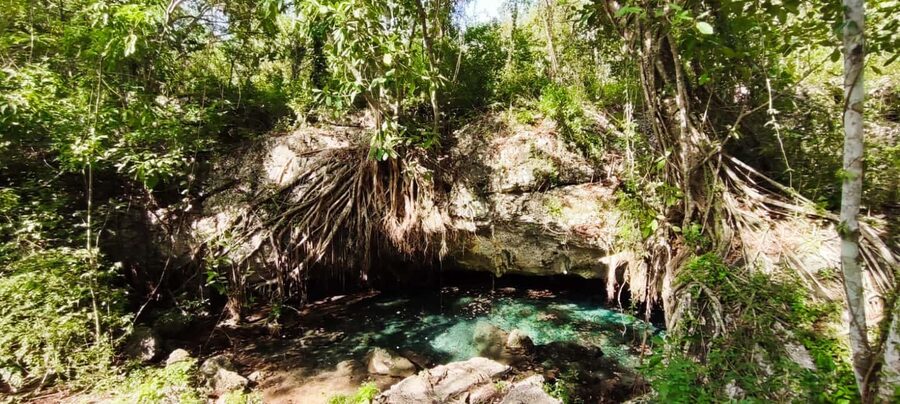 Bayahibe: National Park Jungle Walk & Snorkeling in Cenotes - Who will enjoy this experience most?