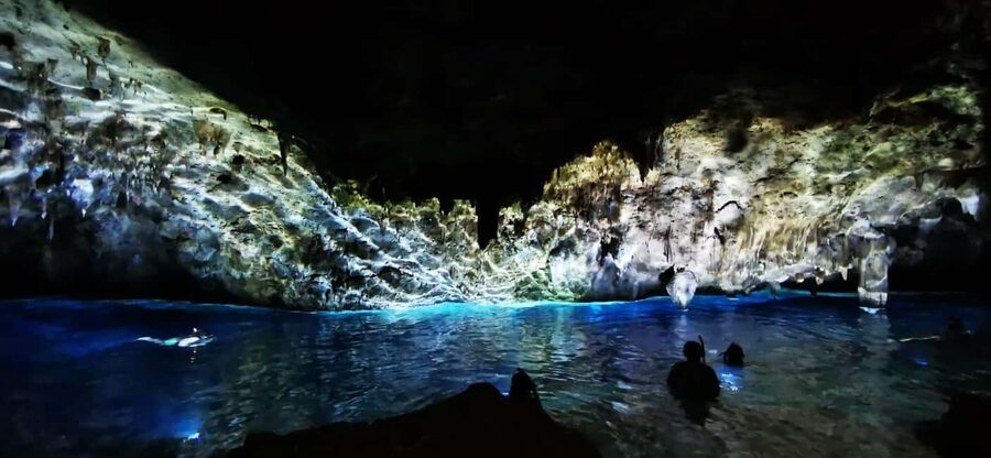 Bayahibe: National Park Jungle Walk & Snorkeling in Cenotes - Descending into Cenotes Chicho