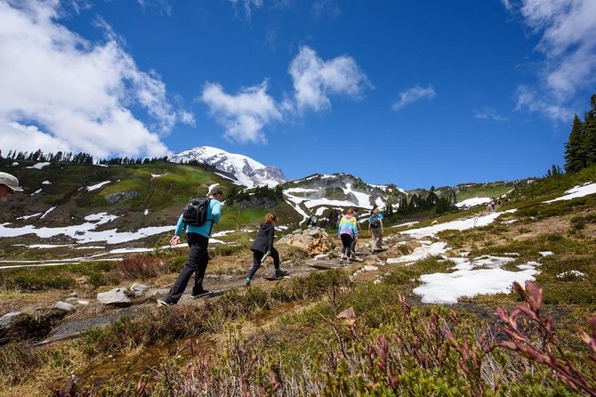 Best of Mount Rainier National Park from Seattle: All-Inclusive Small-Group Tour - Paradise Valley and the main mountain walk