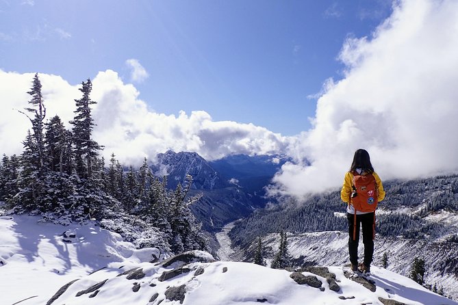 Best of Mount Rainier National Park from Seattle: All-Inclusive Small-Group Tour - Longmire’s museum and three forest walks