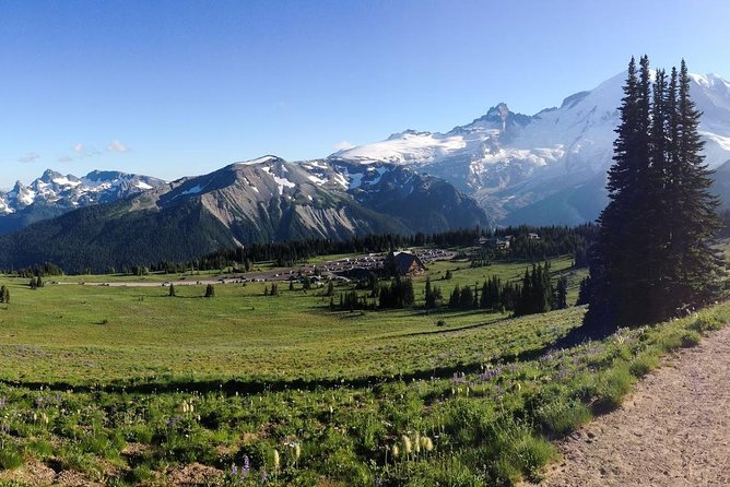 Best of Mount Rainier National Park from Seattle: All-Inclusive Small-Group Tour - How much value do you get for $344?