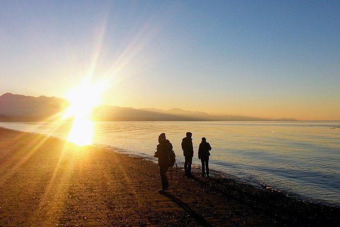 Best of Olympic National Park from Seattle: All-Inclusive Small-Group Day Tour - The ferry from Seattle starts the day right