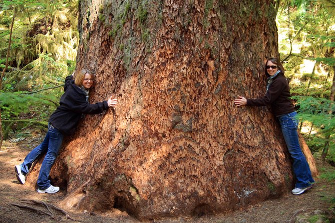 Best of Olympic National Park from Seattle: All-Inclusive Small-Group Day Tour - The Elwha Valley shows nature in recovery