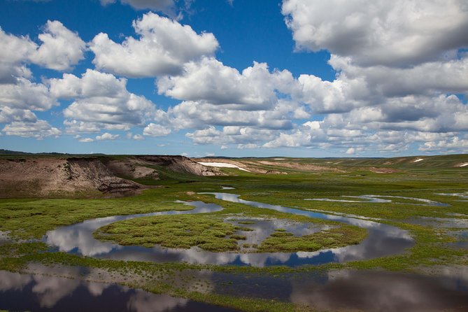 Best of Yellowstone - Guided National Park Safari Tour - Old Faithful provides the classic Yellowstone stop