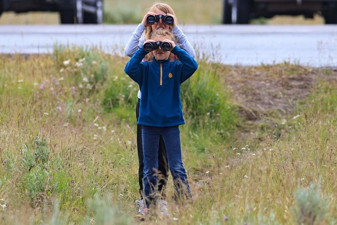 Best of Yellowstone - Guided National Park Safari Tour - The early start from Jackson Hole