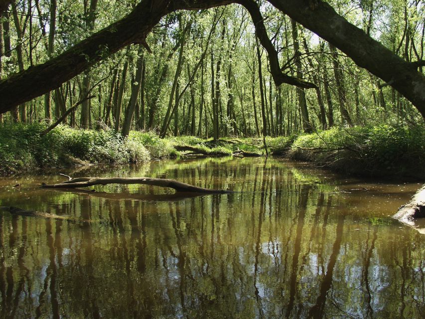 Biesbosch: Boat Cruise through National Park - Key points at a glance