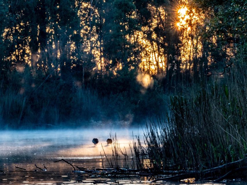 Biesbosch: Boat Cruise through National Park - What the experience does especially well