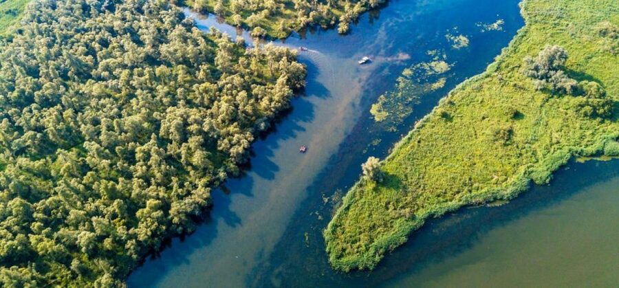 Biesbosch: Boat Cruise through National Park - Wildlife watching from the deck
