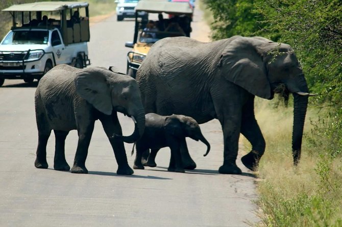 Big 5 Kruger National Park 2 Days Safari from Johannesburg - What the price really covers