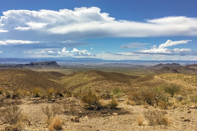 Big Bend National Park Self-Guided Driving Audio Tour - Homer Wilson Ranch, Sotol Vista, and Mule Ears