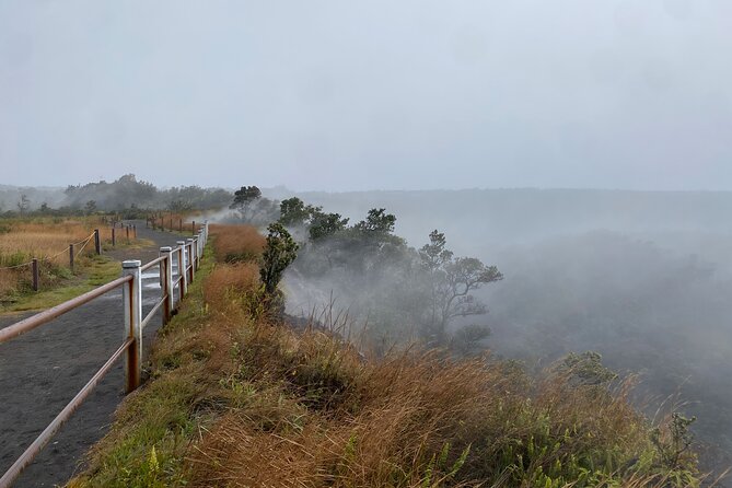Big Island: Fat Tire E-Bike Tour through Volcanoes National Park - Forest roads, plants, and volcanic clues