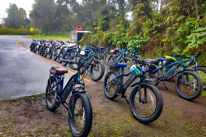 Big Island: Fat Tire E-Bike Tour through Volcanoes National Park - Craters, volcano views, and the coast