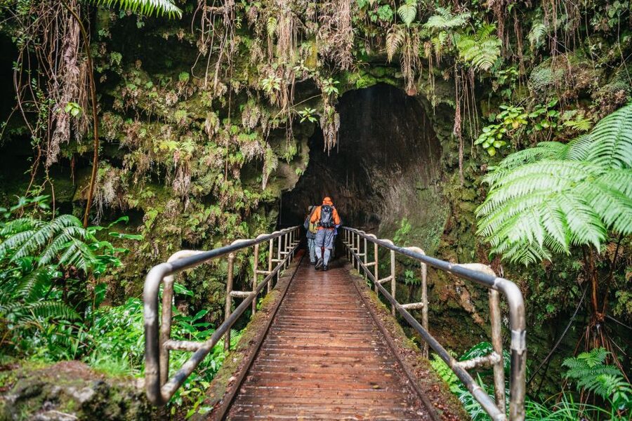 Big Island: Hawai'i Volcanoes National Park Guided Hike - Why this hike works better than a quick park stop
