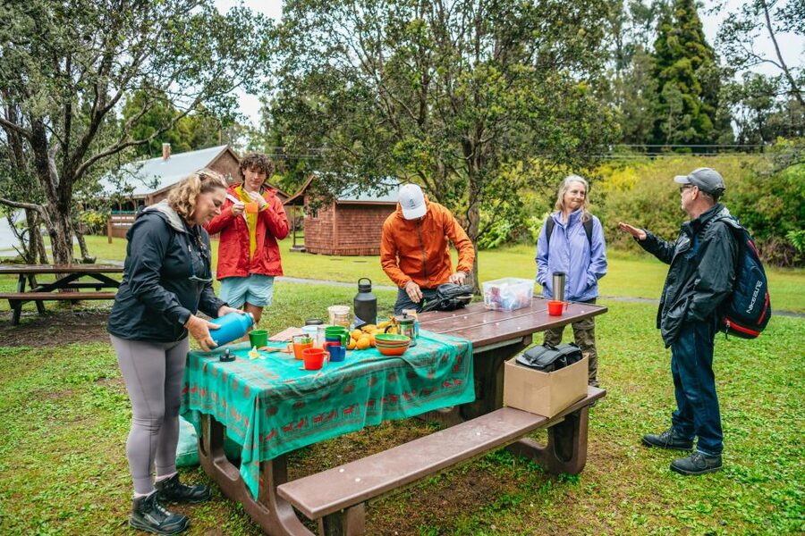 Big Island: Hawai'i Volcanoes National Park Guided Hike - What you eat, and when you eat it