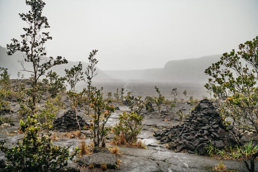 Big Island: Hawai'i Volcanoes National Park Guided Hike - The guide makes the difference