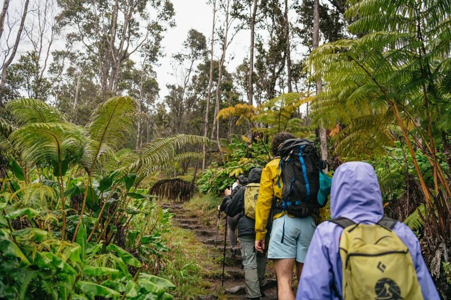 Big Island: Hawai'i Volcanoes National Park Guided Hike - Meeting at Kilauea Visitor Center