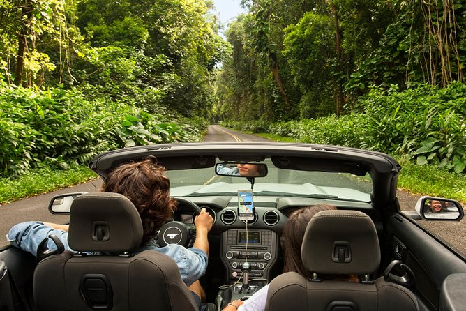 Big Island - Hawaii Volcanoes National Park Driving Tour - Stop 2: Nāhuku, the Thurston Lava Tube