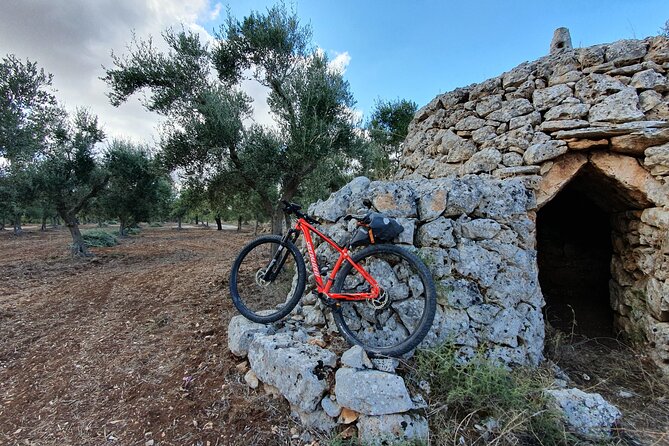 Bike Tour in the Alta Murgia National Park (Pulo of Altamura) - Booking, group size, and cancellation details