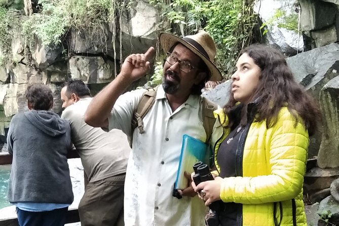 Bird Observation in the National Park of Uruapan. - Key points to know before you book