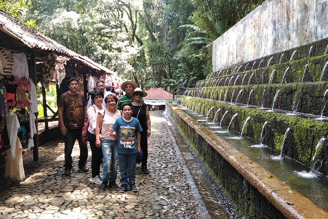 Bird Observation in the National Park of Uruapan. - What three hours gives you