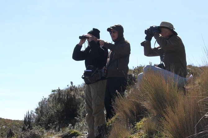 Birdwatching Tour in Cajas National Park from Cuenca - Why Cajas is a special place for birding