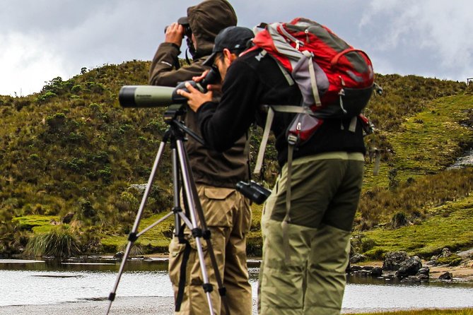 Birdwatching Tour in Cajas National Park from Cuenca - Practical advice for a better day