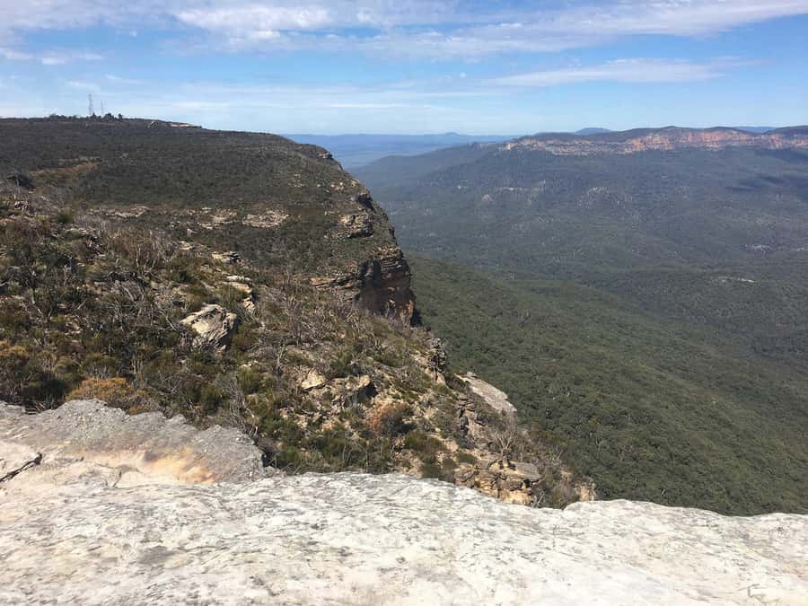 Blue Mountains: Inside a World Heritage National Park - Why the small group matters on a Sydney day trip