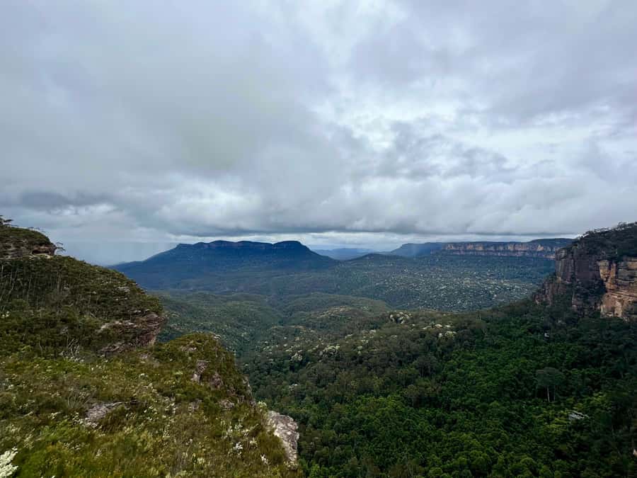 Blue Mountains: Inside a World Heritage National Park - Govetts Leap and Evans Lookout show a different side