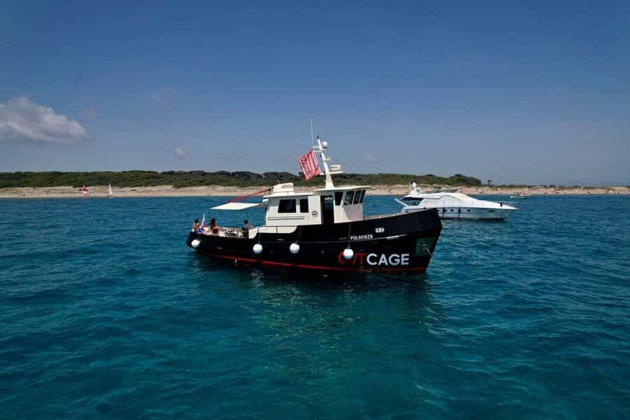 Boat tour Golfo Aranci: Tavolara and Molara Marine Protected Area - Key points to know before booking