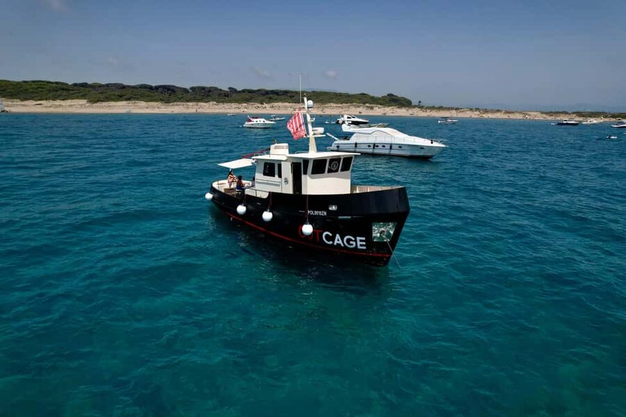 Boat tour Golfo Aranci: Tavolara and Molara Marine Protected Area - Swimming in water you cannot reach by road
