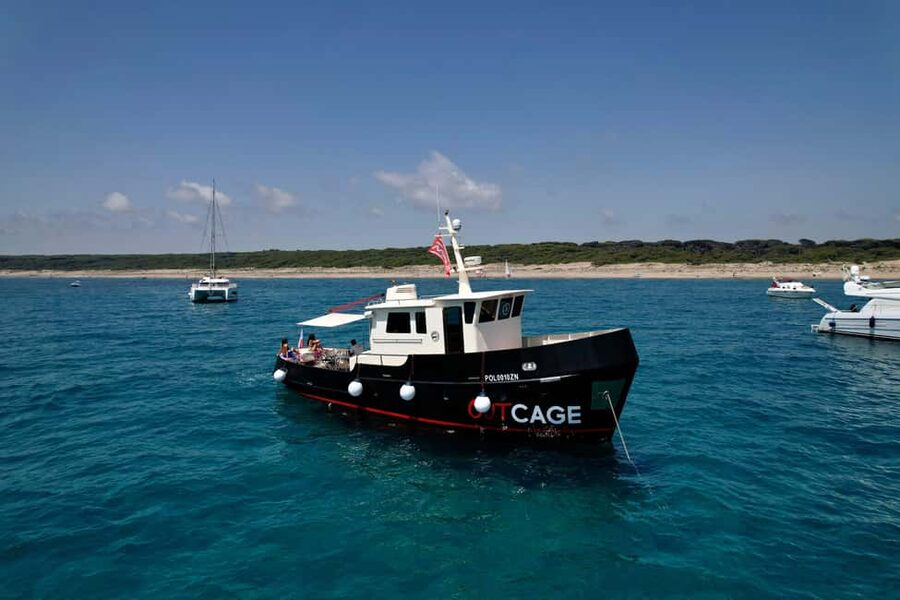 Boat tour Golfo Aranci: Tavolara and Molara Marine Protected Area - Leaving Golfo Aranci for Tavolara and Molara