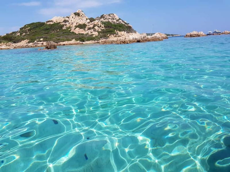 Boat Tour in La Maddalena National Park - Who will enjoy this cruise most