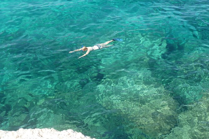 Boat tour to explore the Marine Protected Area of Tavolara - Key points to know before booking