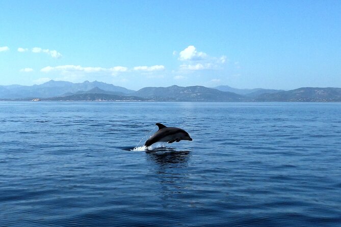 Boat tour to explore the Marine Protected Area of Tavolara - Why Tavolara is best seen from a small boat