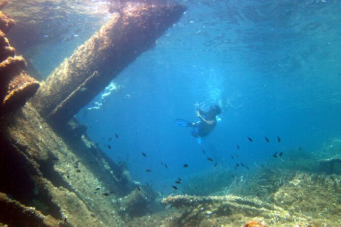 Boat tour to explore the Marine Protected Area of Tavolara - Molara’s Natural Pools and wild granite coast