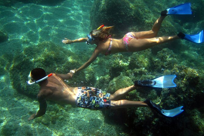 Boat tour to explore the Marine Protected Area of Tavolara - Tavolara’s cliffs and the chance of dolphins