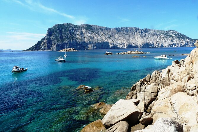 Boat tour to explore the Marine Protected Area of Tavolara - Getting to the marina from Olbia