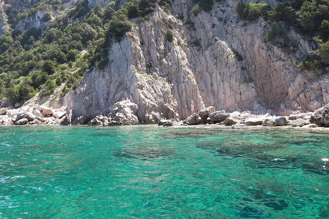 Boat tour to explore the Marine Protected Area of Tavolara - The route through Tavolara Punta Coda Cavallo