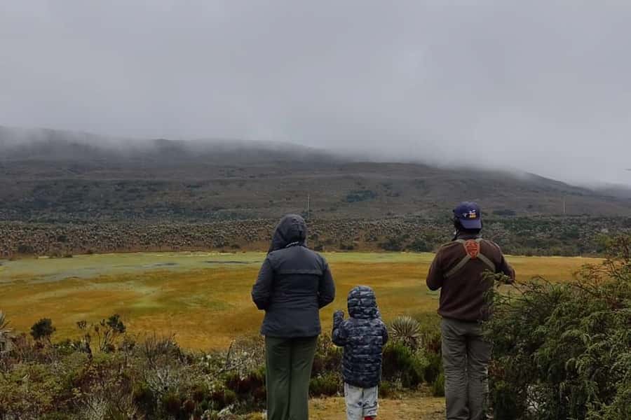 Bogotá: Sumapaz National Park Hike Tour - Why Sumapaz Feels So Different From Bogotá