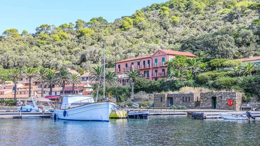 Bormes-les-Mimosas: Sea trip in the heart of Port-Cros National Park - Accessibility and comfort on board